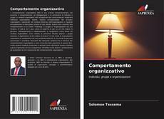 Capa do livro de Comportamento organizzativo 