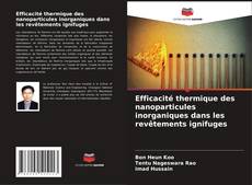 Bookcover of Efficacité thermique des nanoparticules inorganiques dans les revêtements ignifuges