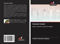Bookcover of Soluzioni leader