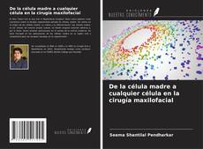Bookcover of De la célula madre a cualquier célula en la cirugía maxilofacial