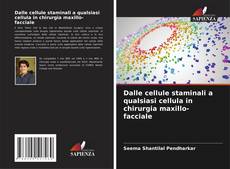 Bookcover of Dalle cellule staminali a qualsiasi cellula in chirurgia maxillo-facciale