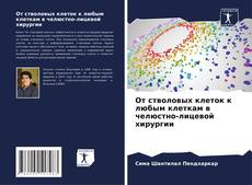 Buchcover von От стволовых клеток к любым клеткам в челюстно-лицевой хирургии