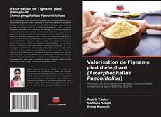 Buchcover von Valorisation de l'igname pied d'éléphant (Amorphophallus Paeoniifolius)