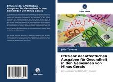 Bookcover of Effizienz der öffentlichen Ausgaben für Gesundheit in den Gemeinden von Minas Gerais