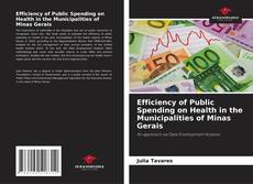 Couverture de Efficiency of Public Spending on Health in the Municipalities of Minas Gerais