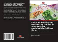 Buchcover von Efficacité des dépenses publiques en matière de santé dans les municipalités de Minas Gerais