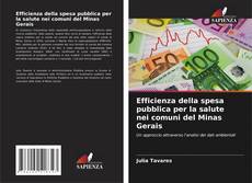 Buchcover von Efficienza della spesa pubblica per la salute nei comuni del Minas Gerais