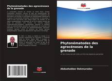 Bookcover of Phytonématodes des agrocénoses de la grenade