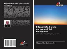 Fitonematodi delle agrocenosi del melograno kitap kapağı