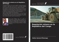 Regulación minera en la República del Congo kitap kapağı
