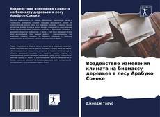 Borítókép a  Воздействие изменения климата на биомассу деревьев в лесу Арабуко Сококе - hoz