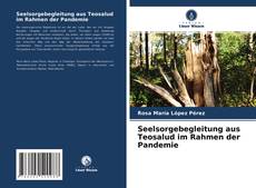 Buchcover von Seelsorgebegleitung aus Teosalud im Rahmen der Pandemie