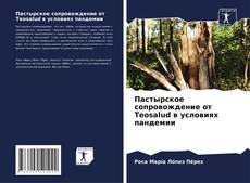 Buchcover von Пастырское сопровождение от Teosalud в условиях пандемии