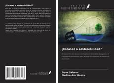 Bookcover of ¿Escasez o sostenibilidad?