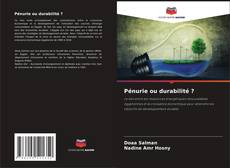 Capa do livro de Pénurie ou durabilité ? 