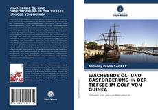 WACHSENDE ÖL- UND GASFÖRDERUNG IN DER TIEFSEE IM GOLF VON GUINEA kitap kapağı