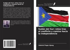 Bookcover of Sudán del Sur: retos tras el conflicto y camino hacia la independencia