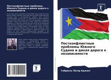 Постконфликтные проблемы Южного Судана и дикая дорога к независимости kitap kapağı