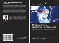 Cirugía primera aproximación ortognática kitap kapağı