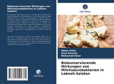 Bookcover of Biokonservierende Wirkungen von Milchsäurebakterien in Labneh-Salaten