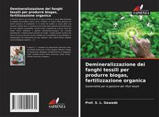 Buchcover von Demineralizzazione dei fanghi tessili per produrre biogas, fertilizzazione organica