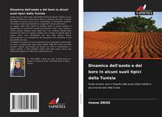 Buchcover von Dinamica dell'azoto e del boro in alcuni suoli tipici della Tunisia