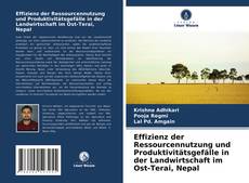 Effizienz der Ressourcennutzung und Produktivitätsgefälle in der Landwirtschaft im Ost-Terai, Nepal kitap kapağı