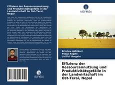 Couverture de Effizienz der Ressourcennutzung und Produktivitätsgefälle in der Landwirtschaft im Ost-Terai, Nepal