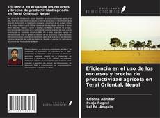 Bookcover of Eficiencia en el uso de los recursos y brecha de productividad agrícola en Terai Oriental, Nepal
