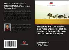 Bookcover of Efficacité de l'utilisation des ressources et écart de productivité agricole dans l'est du Teraï, au Népal