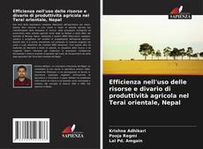 Buchcover von Efficienza nell'uso delle risorse e divario di produttività agricola nel Terai orientale, Nepal