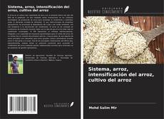 Bookcover of Sistema, arroz, intensificación del arroz, cultivo del arroz