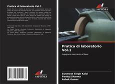 Buchcover von Pratica di laboratorio Vol.1