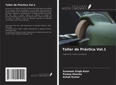 Обложка Taller de Práctica Vol.1