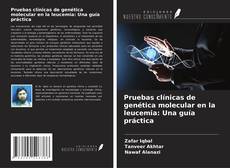 Pruebas clínicas de genética molecular en la leucemia: Una guía práctica的封面