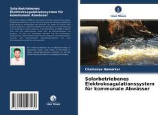Обложка Solarbetriebenes Elektrokoagulationssystem für kommunale Abwässer