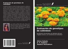 Bookcover of Evaluación de genotipos de caléndula