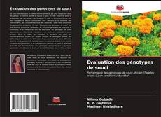 Bookcover of Évaluation des génotypes de souci