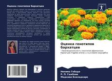 Bookcover of Оценка генотипов бархатцев