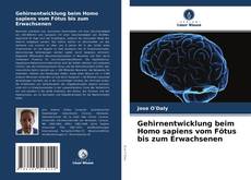 Capa do livro de Gehirnentwicklung beim Homo sapiens vom Fötus bis zum Erwachsenen 