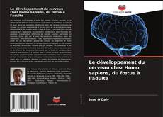 Portada del libro de Le développement du cerveau chez Homo sapiens, du fœtus à l'adulte