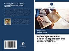 Buchcover von Grüne Synthese von Silber-Nanopartikeln aus Zinger officinale