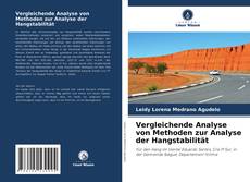 Bookcover of Vergleichende Analyse von Methoden zur Analyse der Hangstabilität