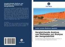 Vergleichende Analyse von Methoden zur Analyse der Hangstabilität kitap kapağı