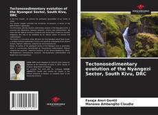 Buchcover von Tectonosedimentary evolution of the Nyangezi Sector, South Kivu, DRC