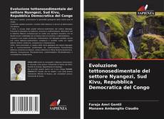 Bookcover of Evoluzione tettonosedimentale del settore Nyangezi, Sud Kivu, Repubblica Democratica del Congo