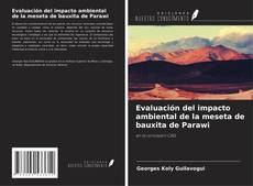 Bookcover of Evaluación del impacto ambiental de la meseta de bauxita de Parawi