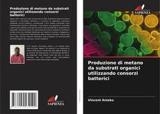 Copertina di Produzione di metano da substrati organici utilizzando consorzi batterici