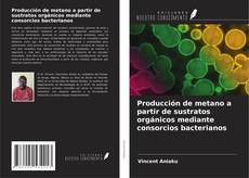 Bookcover of Producción de metano a partir de sustratos orgánicos mediante consorcios bacterianos