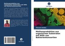 Copertina di Methanproduktion aus organischen Substraten mit Hilfe von Bakterienkonsortien